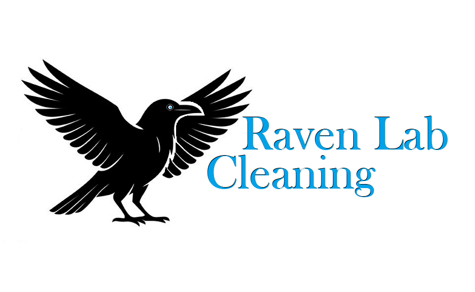 2026 04 25 ravenlab cleaning